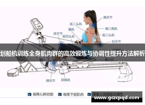 划船机训练全身肌肉群的高效锻炼与协调性提升方法解析