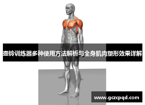 壶铃训练器多种使用方法解析与全身肌肉塑形效果详解