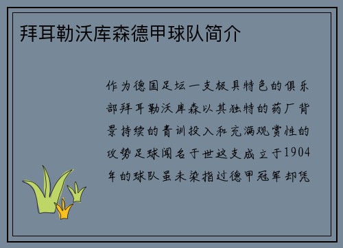 拜耳勒沃库森德甲球队简介