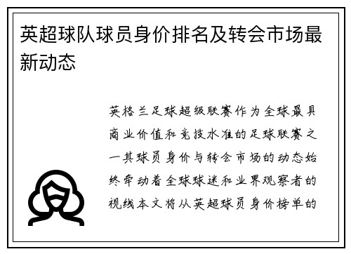英超球队球员身价排名及转会市场最新动态
